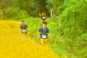 BIB: 565
                            <button type="button" onclick="openModal(13456131)" class="btn btn-primary btn-sm float-right btn-popup" data-toggle="modal" data-target=".modal-high-quality">
                        <i class="fas fa-shopping-cart"></i> Add to Cart
                    </button>
                                            <button type="button" onclick="isThisMe(13456131, true)" class="btn btn-success btn-sm float-right btn-popup btn-isme hidden" data-toggle="tooltip" data-placement="bottom" title="นี่คือรูปของคุณใช่ไหม คลิกที่นี่เพื่อเอาเข้าอัลบั้ม">
                        <i class="fas fa-plus"></i> Add to album
                    </button>
                    <button type="button" onclick="isThisMe(13456131, false)" class="btn btn-warning btn-sm float-right btn-popup btn-isnotme hidden">
                        <i class="fas fa-ban"></i> Remove from album
                    </button>